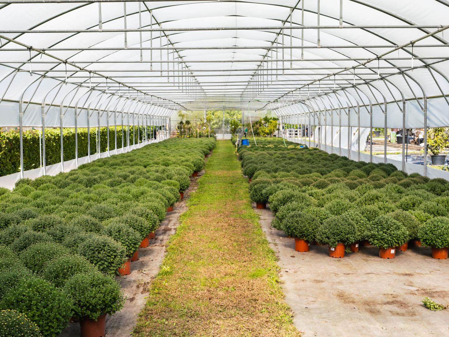 Produits phytosanitaire Brive-la-Gaillarde