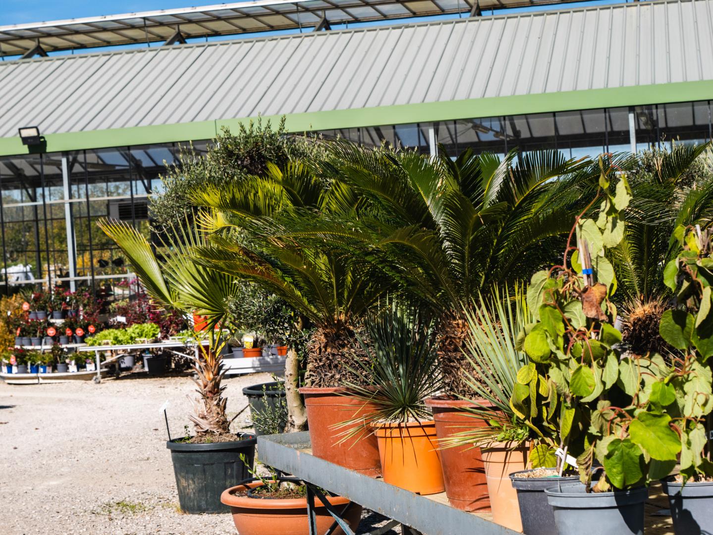 Poterie de jardin Brive-la-Gaillarde